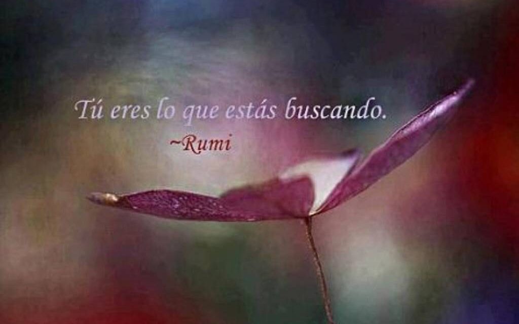 Preguntas al maestro Rumi