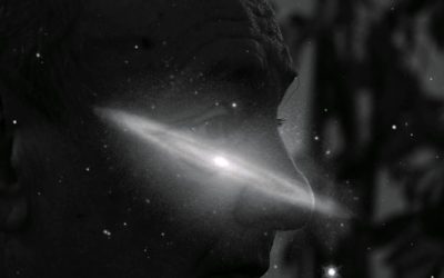 Todo es, reflejo, reacción y resonancia