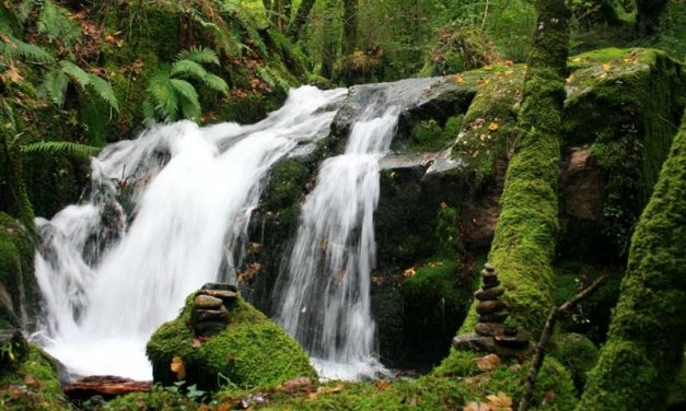 La naturaleza nos habla | Madre Naturaleza