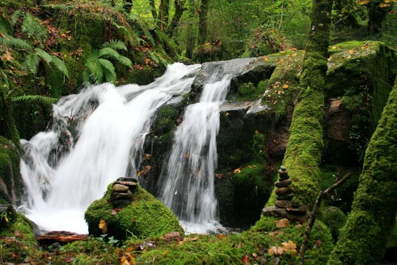 La naturaleza nos habla | Madre Naturaleza