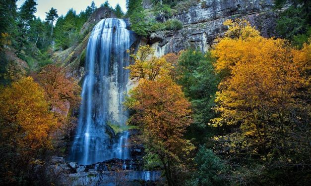 La naturaleza nos habla | Agua, la vida como ciclo.