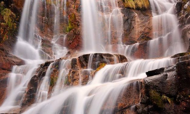 El significado científico y espiritual de los baños de naturaleza