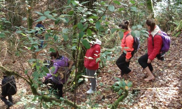 Baños de naturaleza. Rejuvenecimiento para cuerpo, mente y espíritu