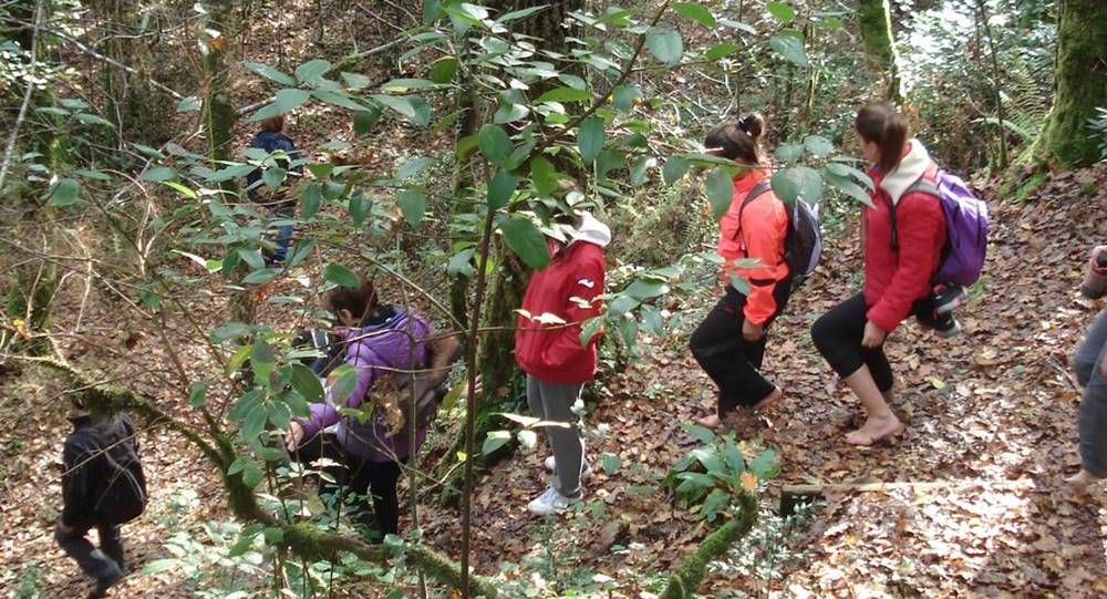 Baños de naturaleza. Rejuvenecimiento para cuerpo, mente y espíritu