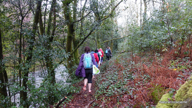 caminar descalzo pontevedra 2