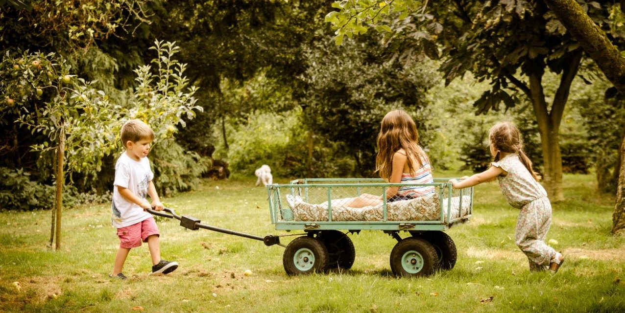 La naturaleza: clave en el desarrollo cognitivo en la infancia