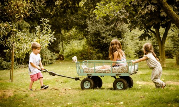 La naturaleza: clave en el desarrollo cognitivo en la infancia